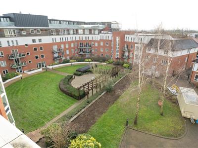 Picture 22